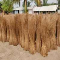 Raw Coconut Broom Sticks - Coconut Leaf Sticks 40-50 Inch, Natural Brown, Biodegradable, Manual Cleaning