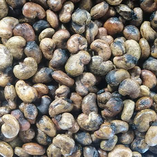 Raw Cashew Nut