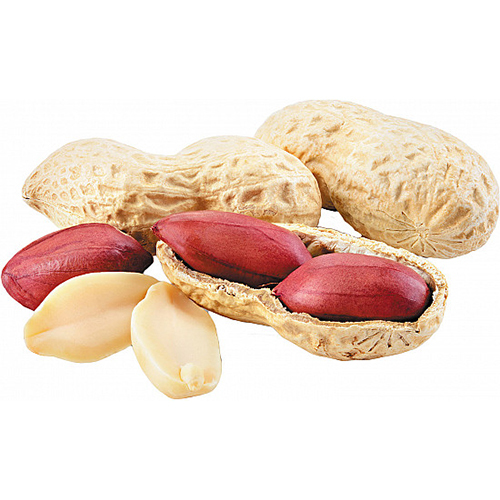Raw Peanut