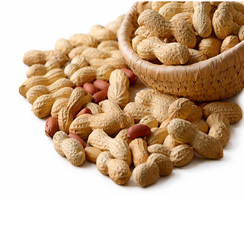 Whole Groundnut