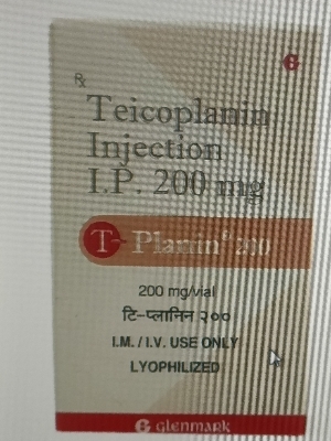 T- planin 200