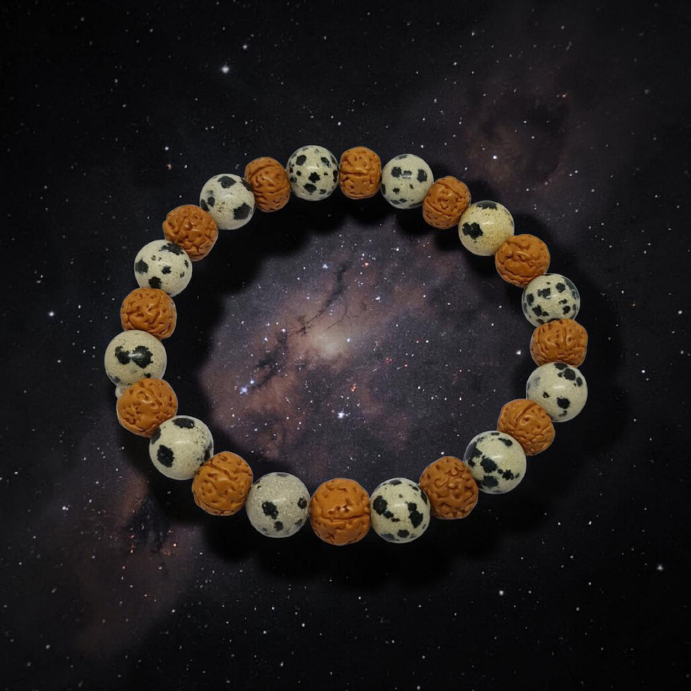 DALMATION JASPER PLAIN & RUDRAKSHA BRACELET 8 MM