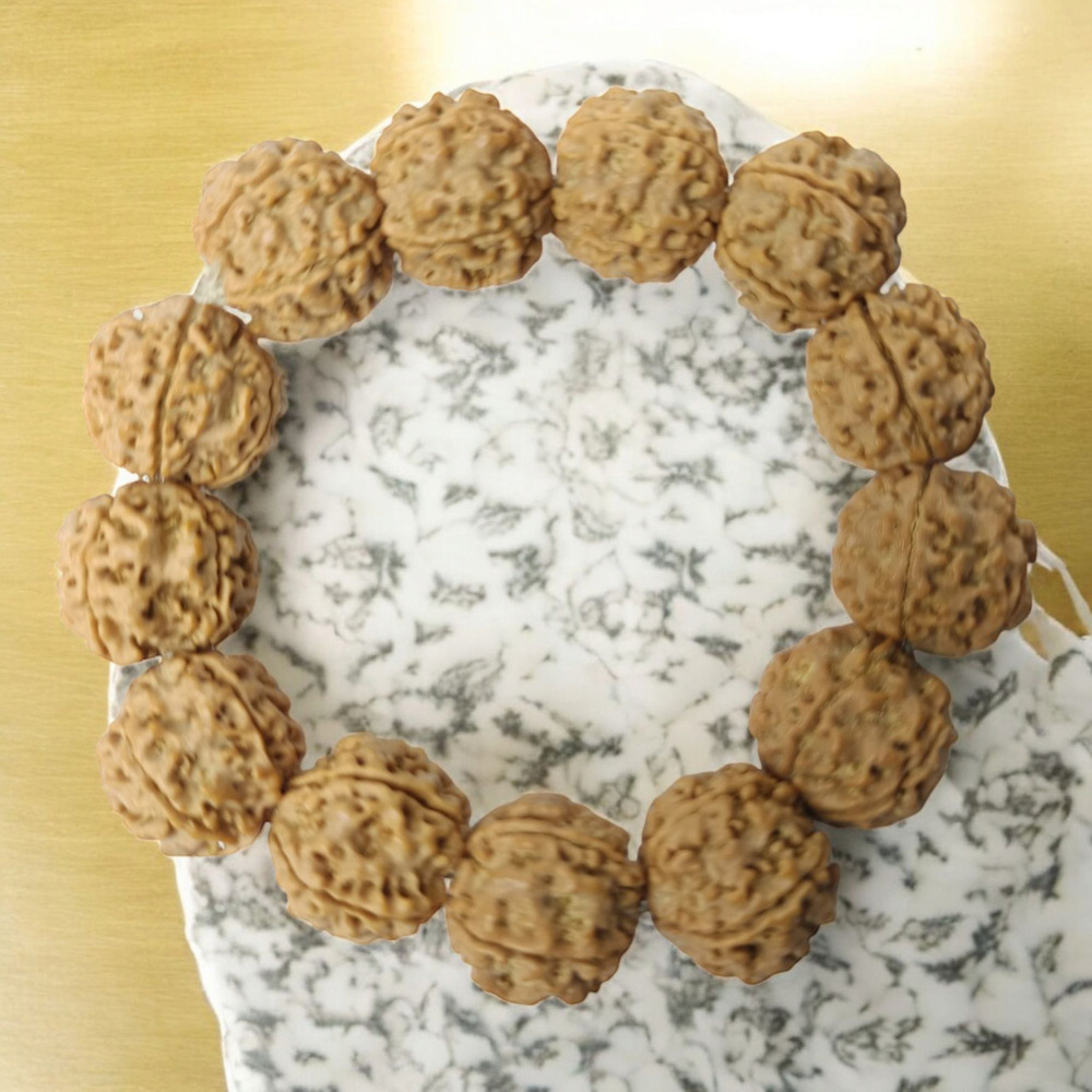 5 MUKHI RUDRAKSHA BRACELET BIG BEADS ELASTIC