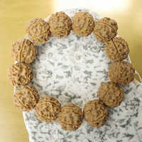 5 Mukhi Rudraksha Bracelet Big Beads Elastic - Occasion: Daily Wear