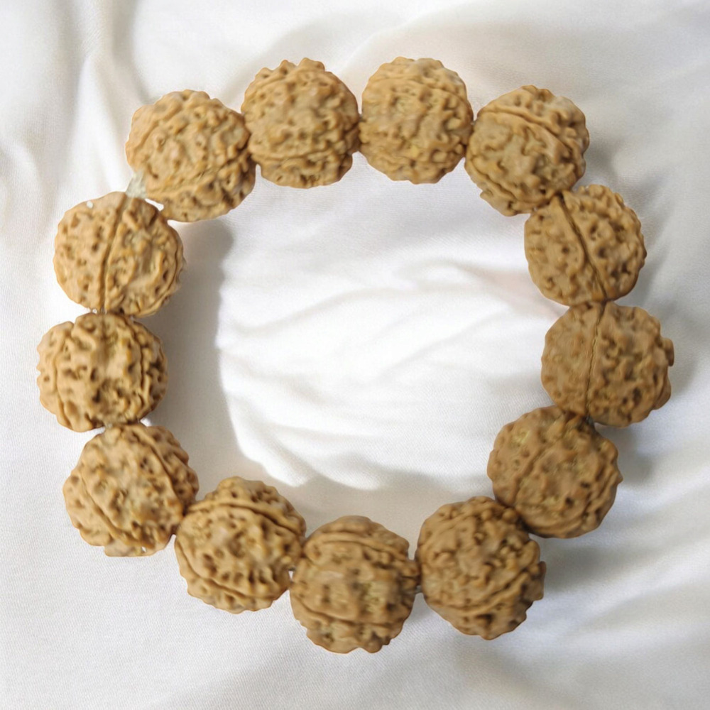 5 MUKHI RUDRAKSHA BRACELET BIG BEADS ELASTIC