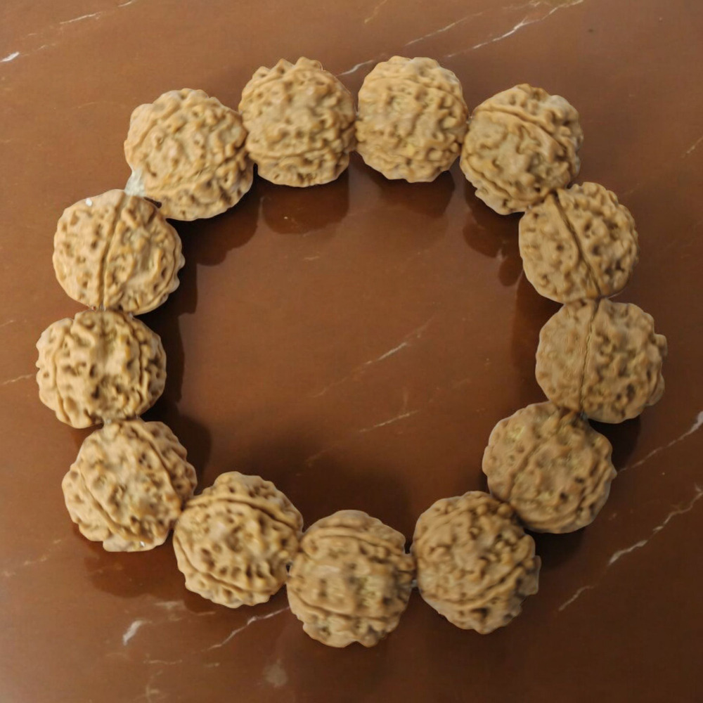 5 MUKHI RUDRAKSHA BRACELET BIG BEADS ELASTIC