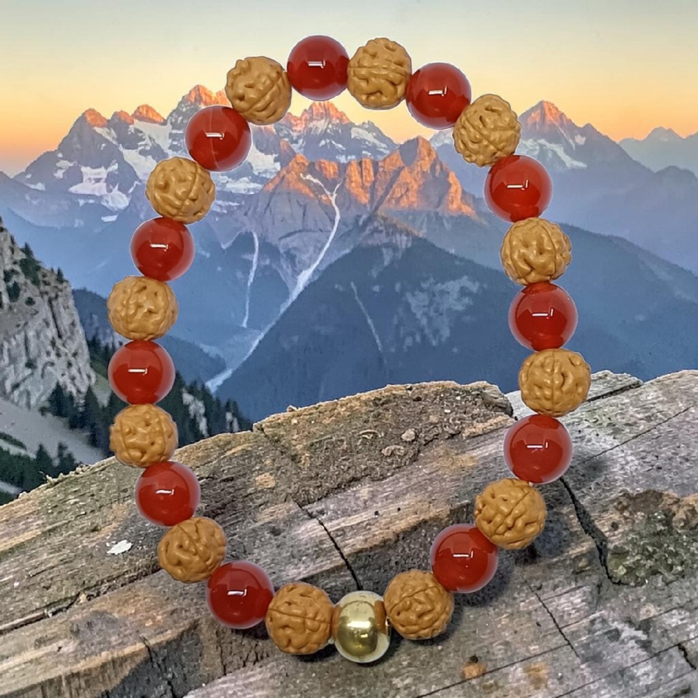 CARNELIAN  & RUDRAKSHA BRACELET 8 MM
