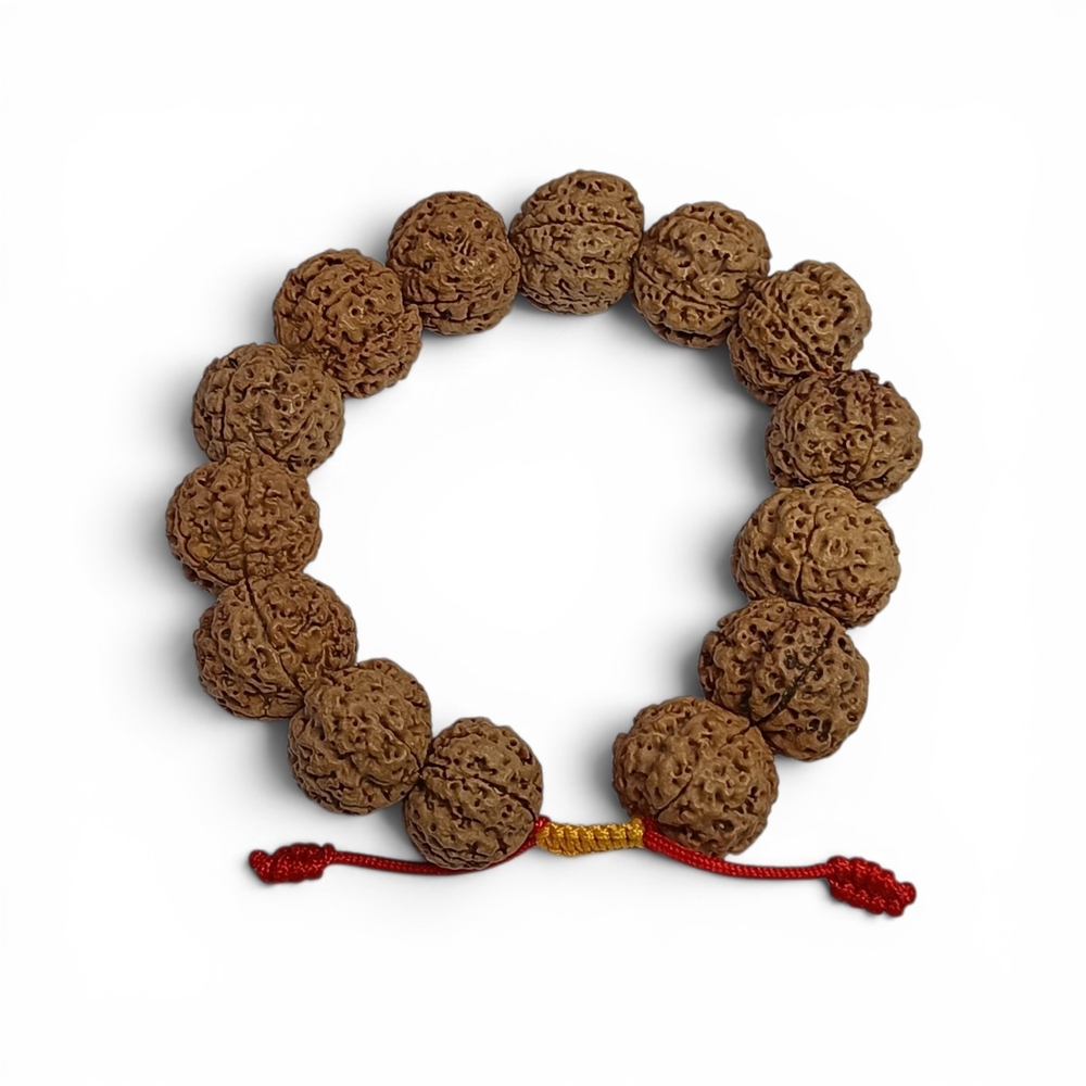 5 MUKHI RUDRAKSHA BRACELET BIG BEADS DRAWSTRING