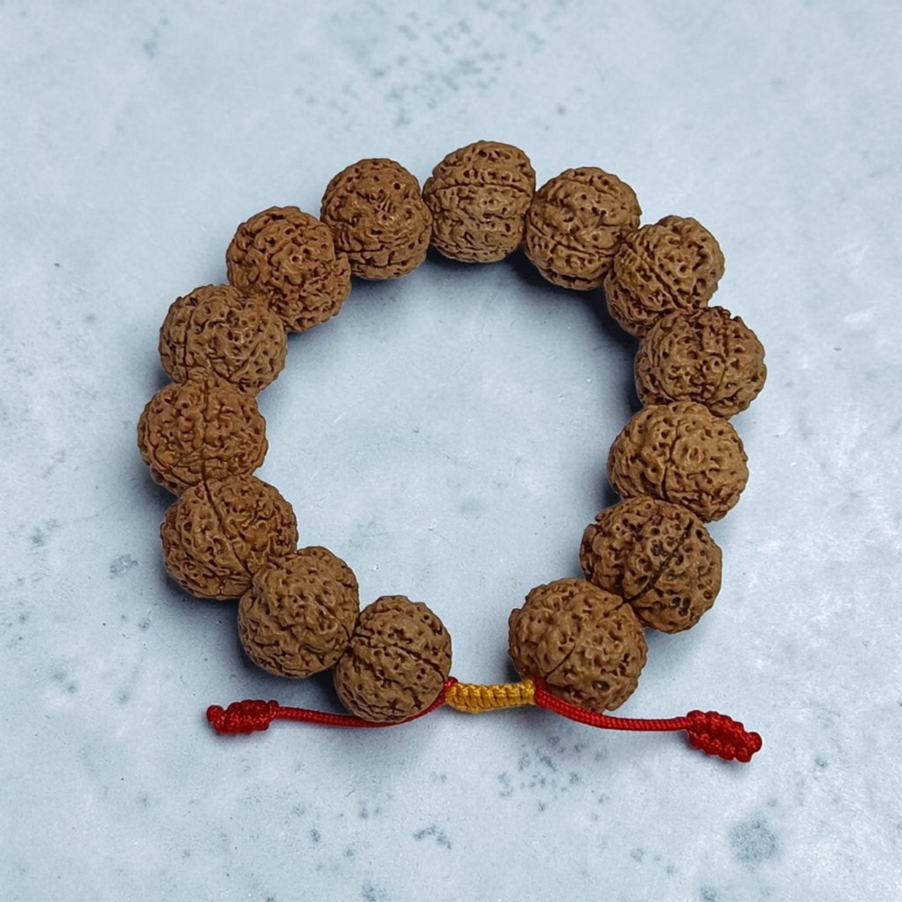 5 MUKHI RUDRAKSHA BRACELET BIG BEADS DRAWSTRING
