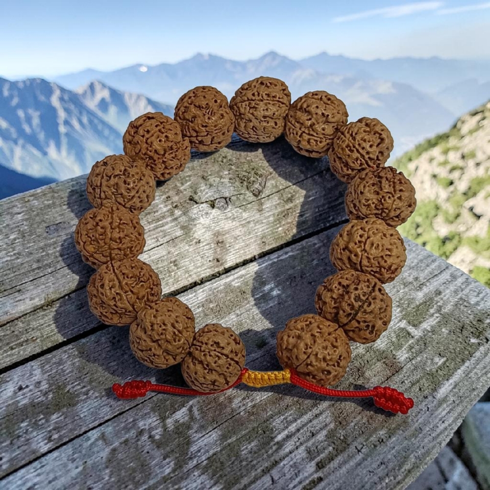 5 MUKHI RUDRAKSHA BRACELET BIG BEADS DRAWSTRING