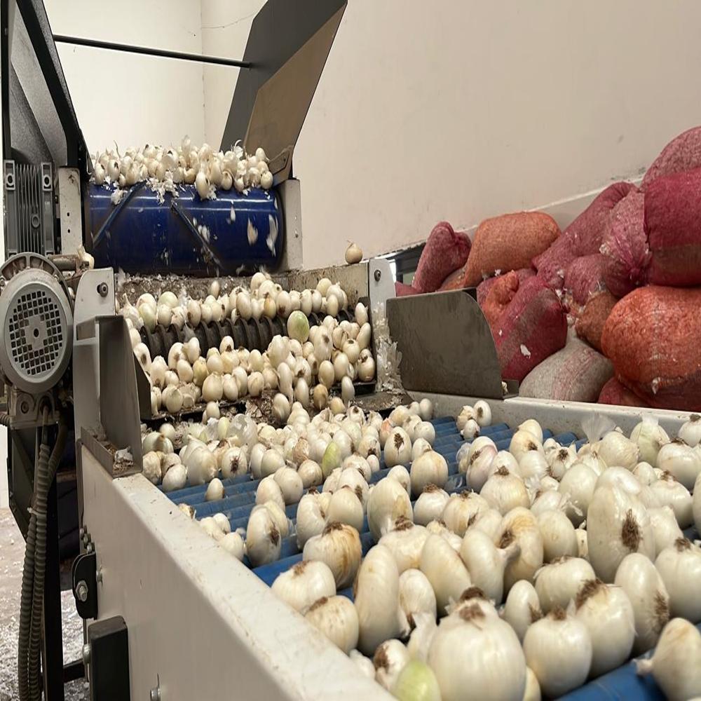 Onion Dehydration Plant