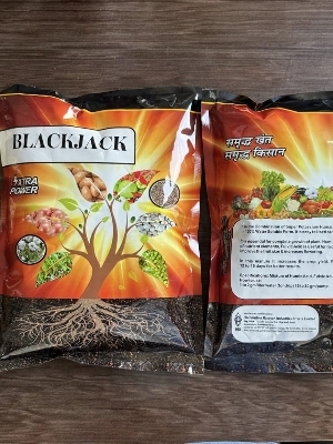 Black jack