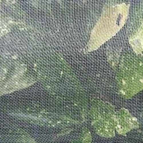 Anti Insect Net - Durable Polyester Mesh | Uv Resistant, Fine Mesh Weave, Lightweight Design