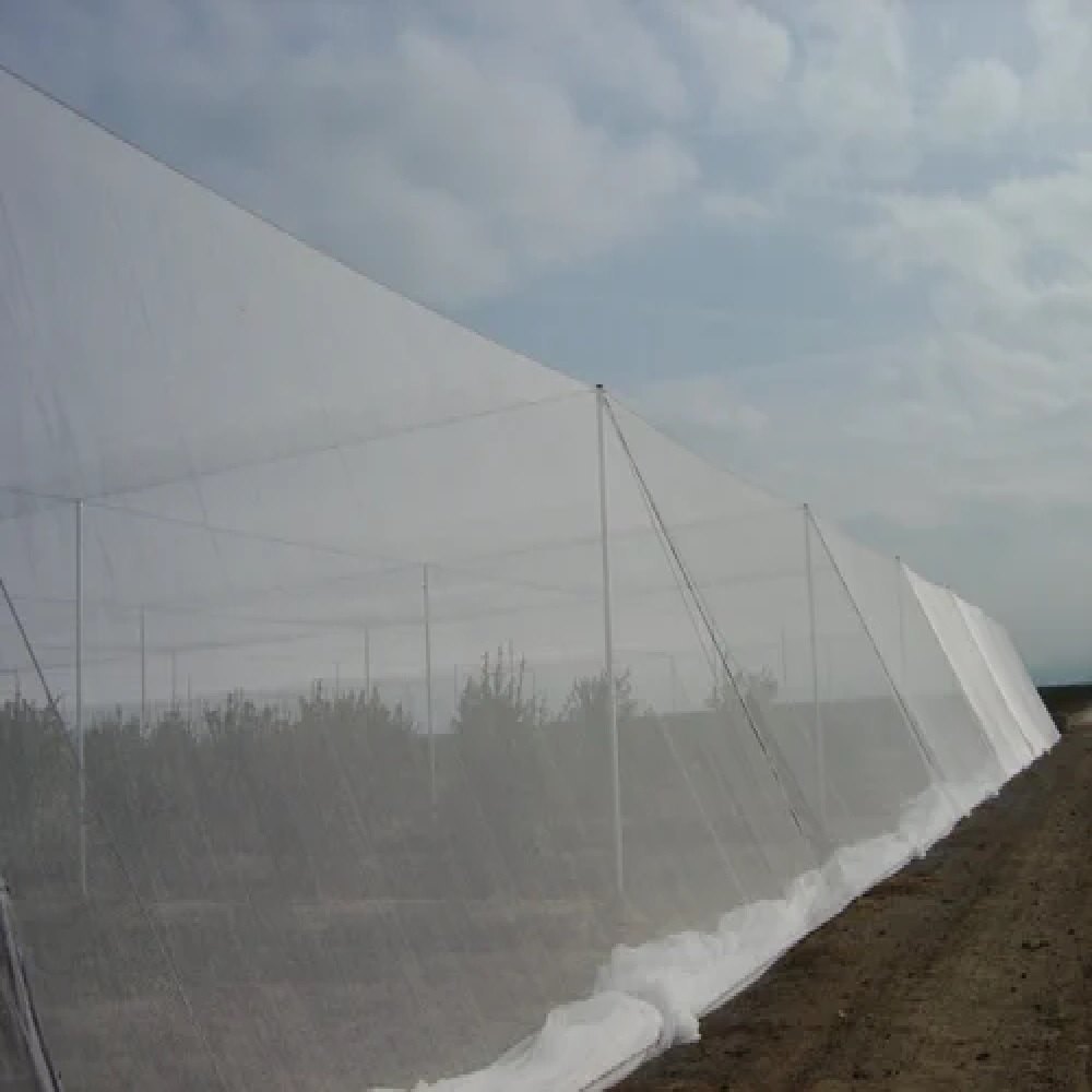 Anti Insect Net