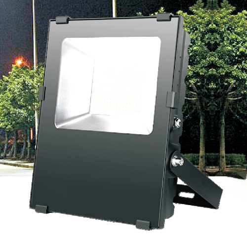 Down Driver LED Flood Light