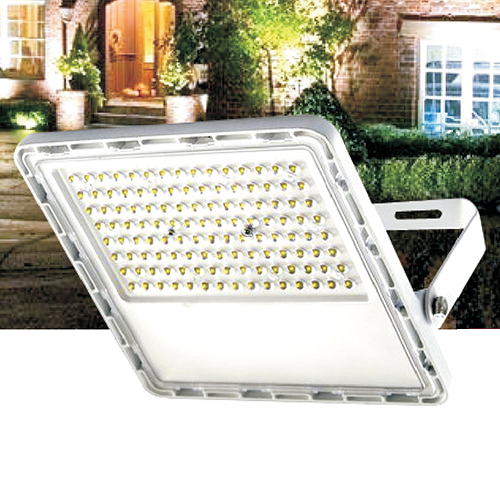 LED Flood Light With Lens