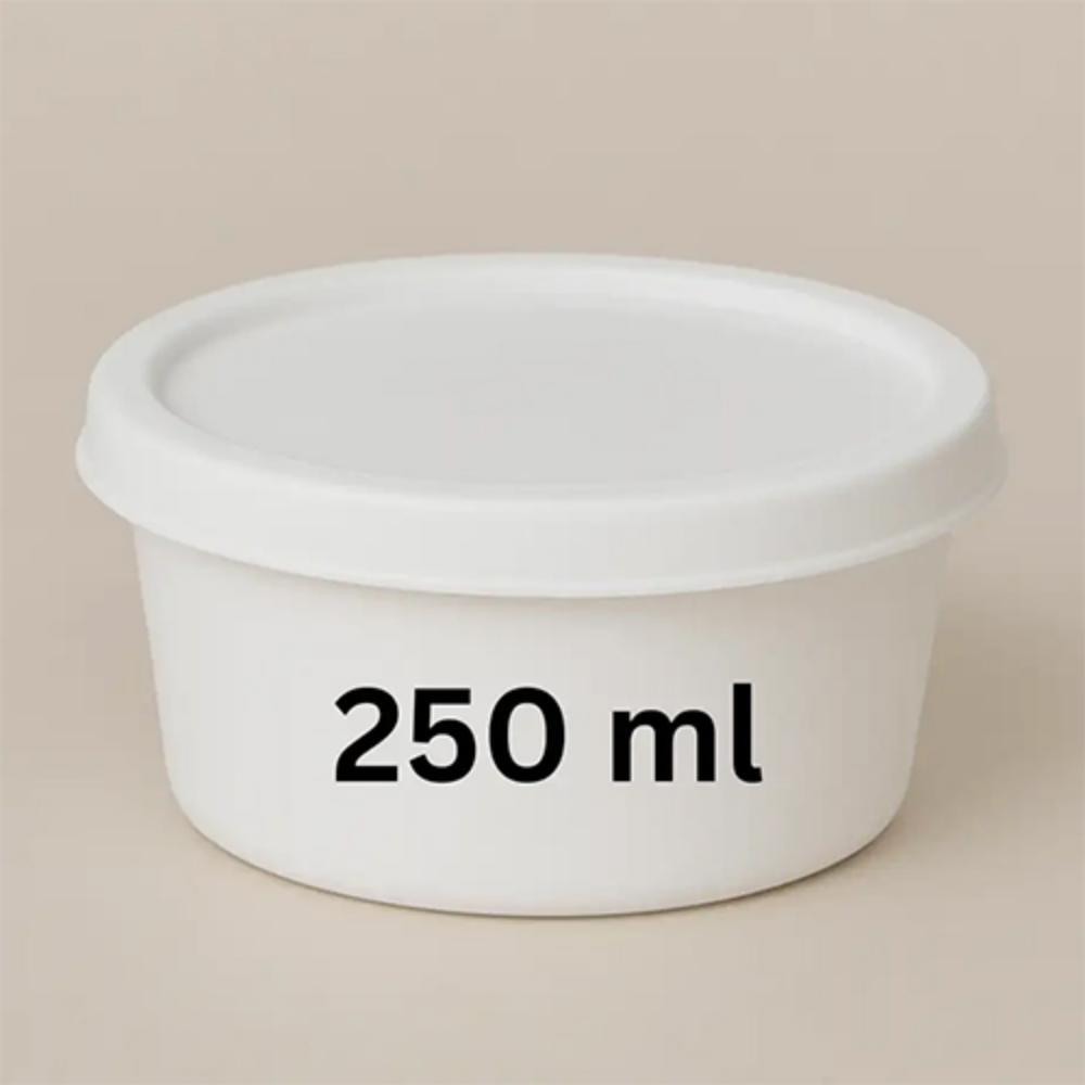 250 ML Plastic Food Container