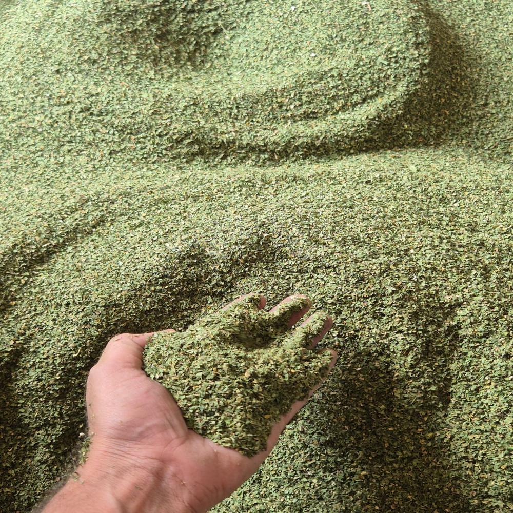 Moringa Leaves