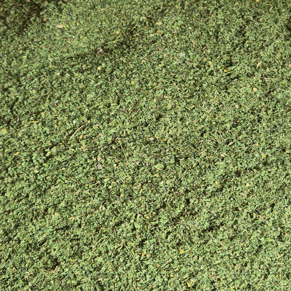 Moringa Leaves - Color: Natural Green