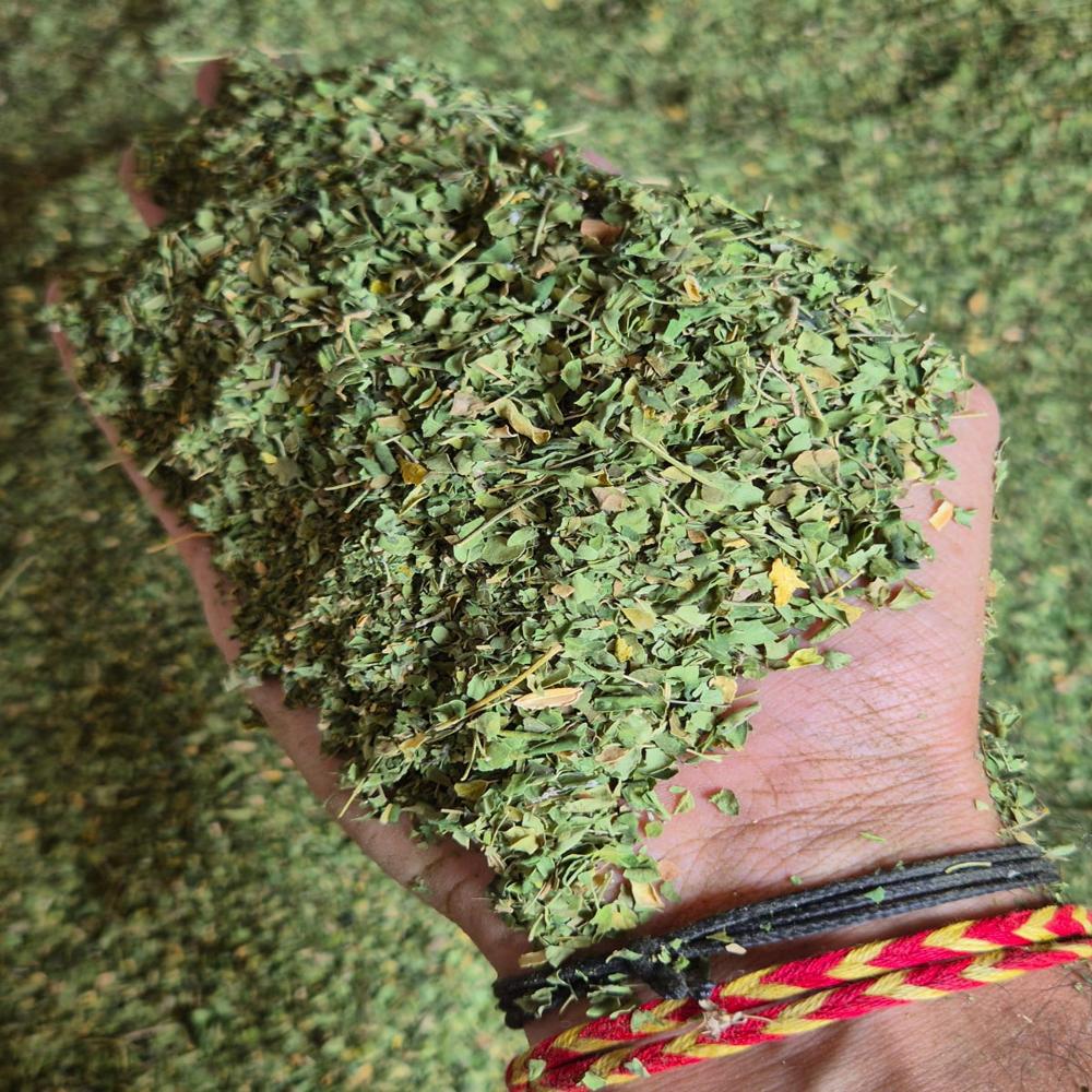 Moringa Leaves