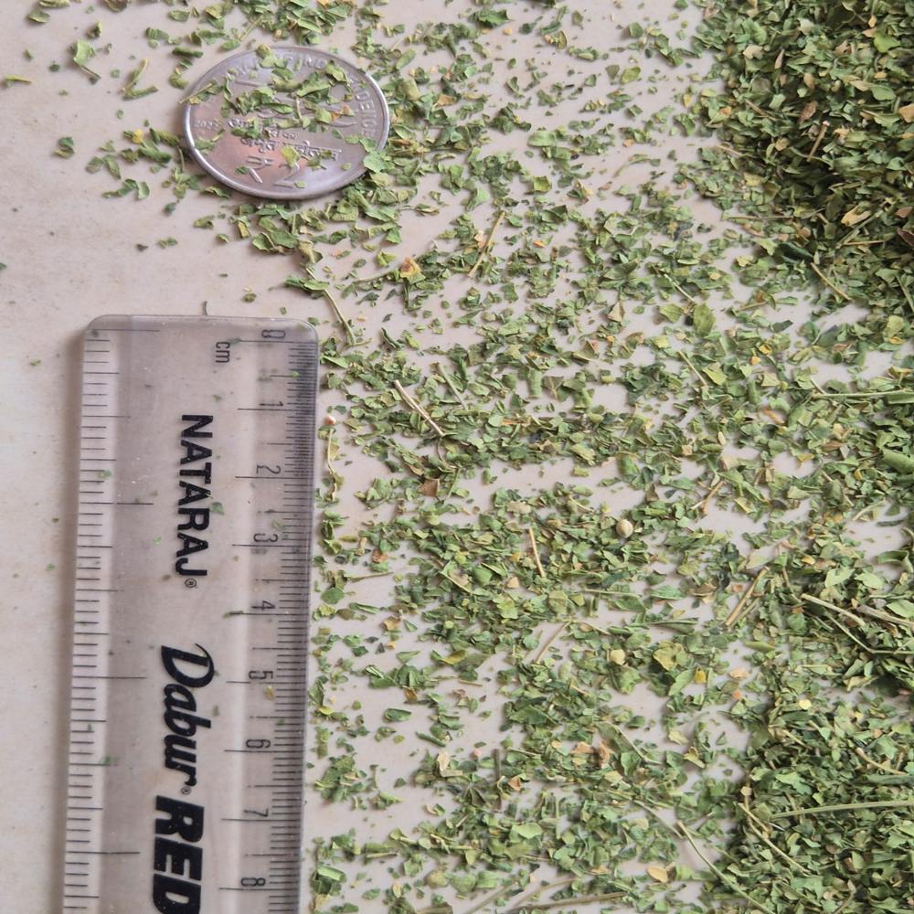 Moringa Leaves
