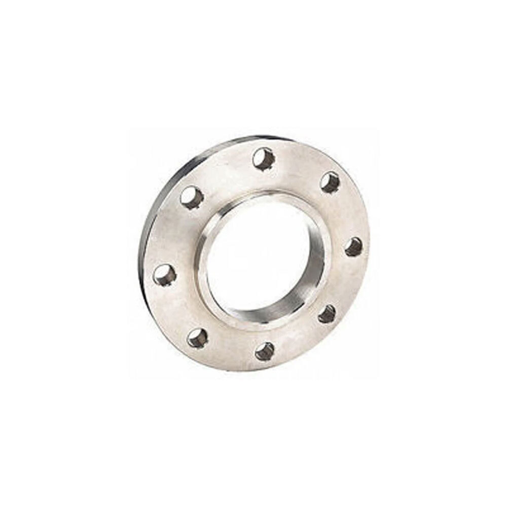 SS 304H Flanges