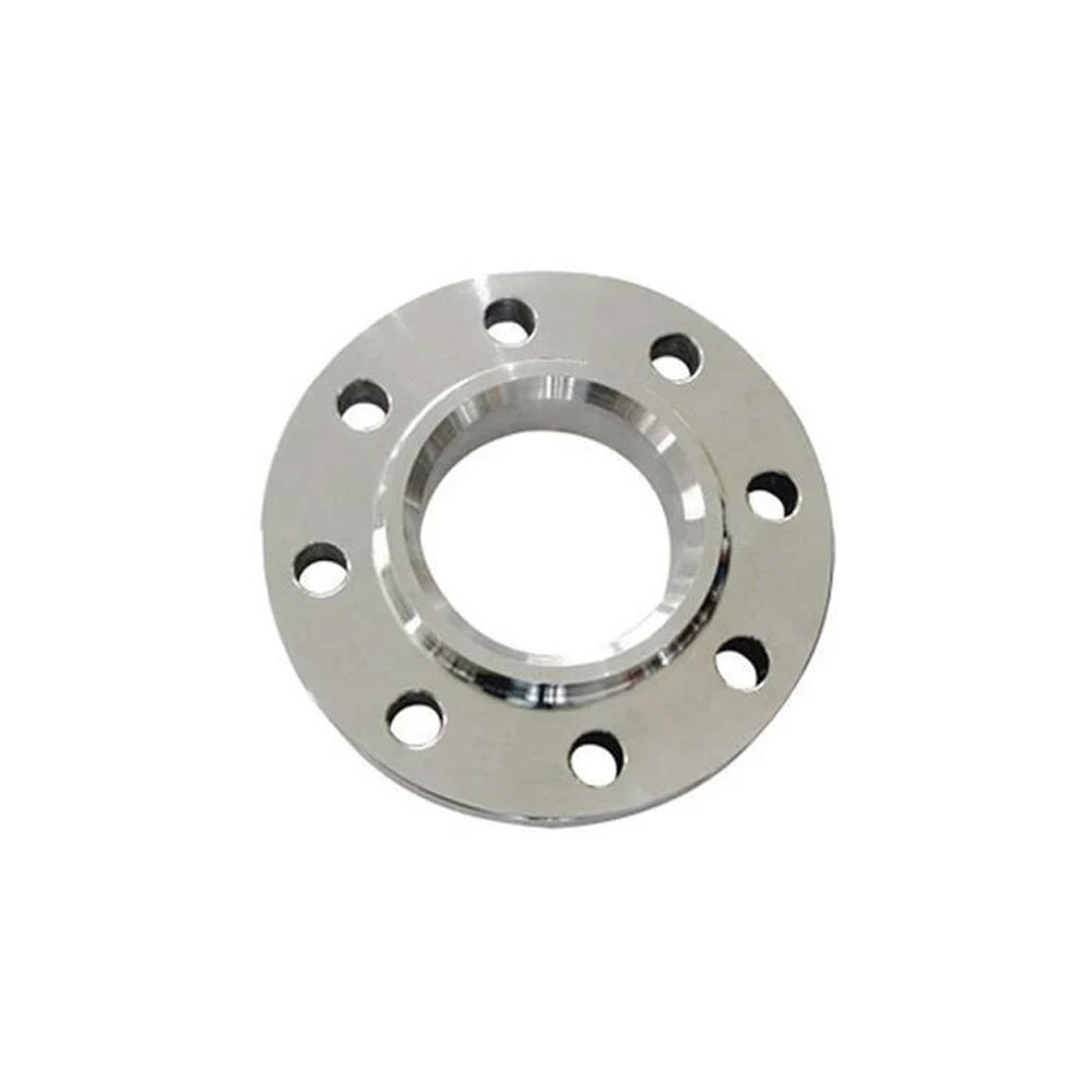 SS 309 Flanges