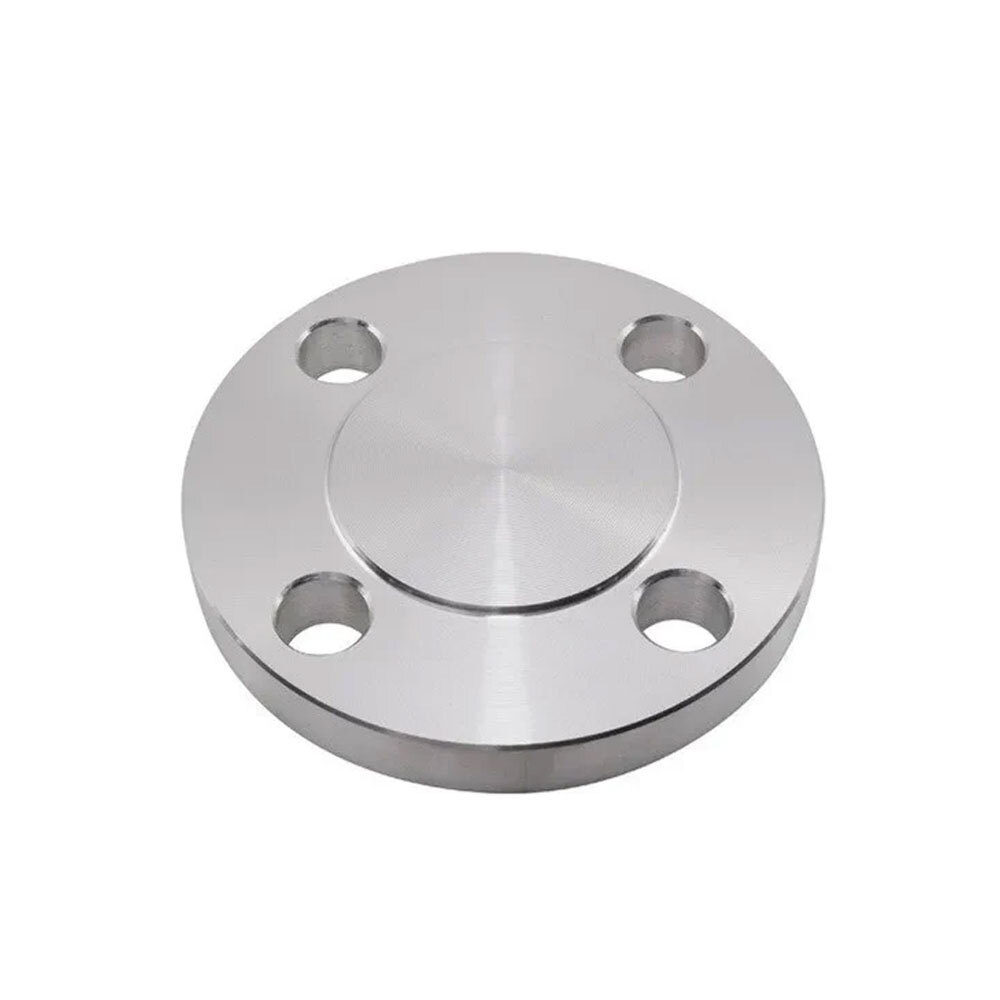 SS 310 Flanges