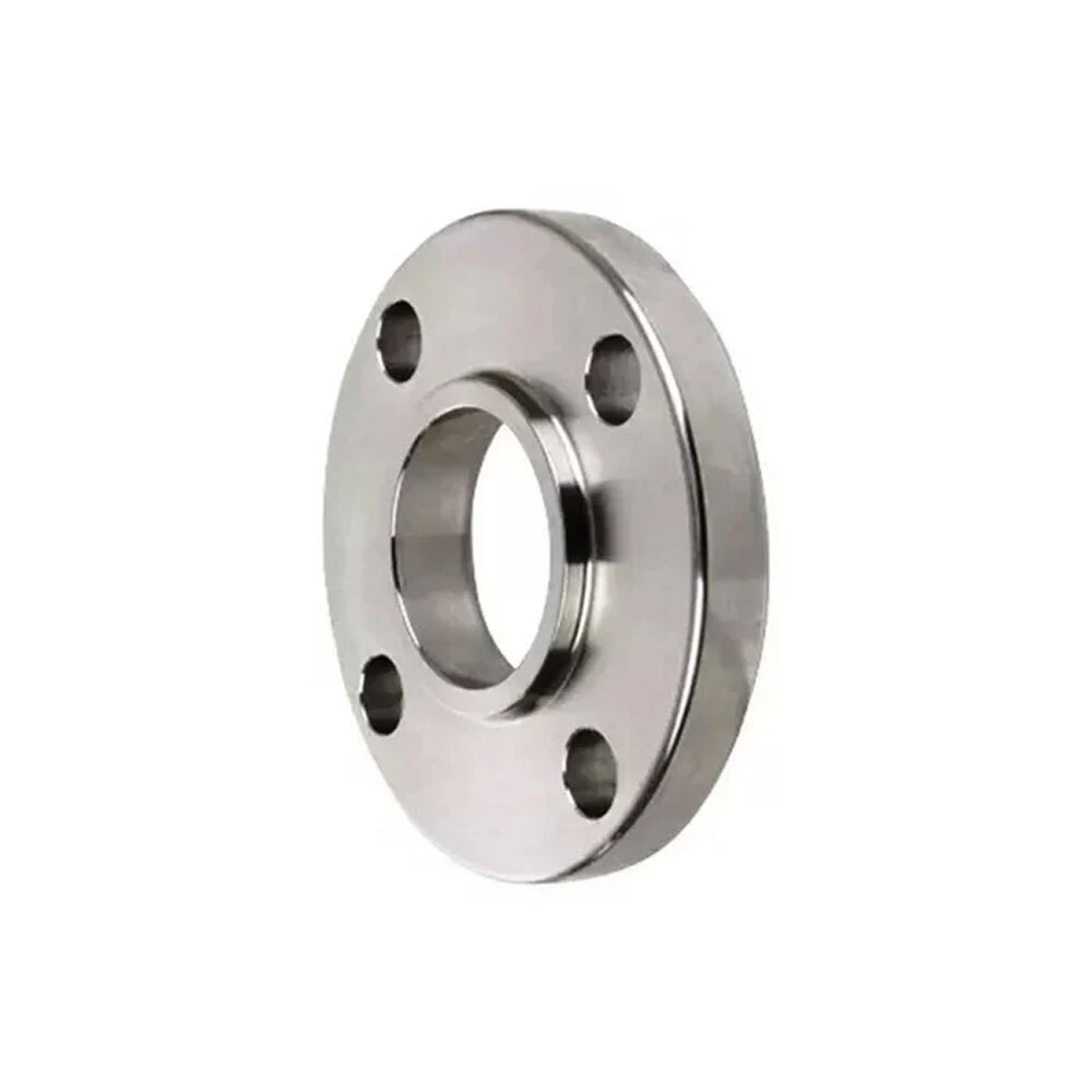 SS 316 Flanges