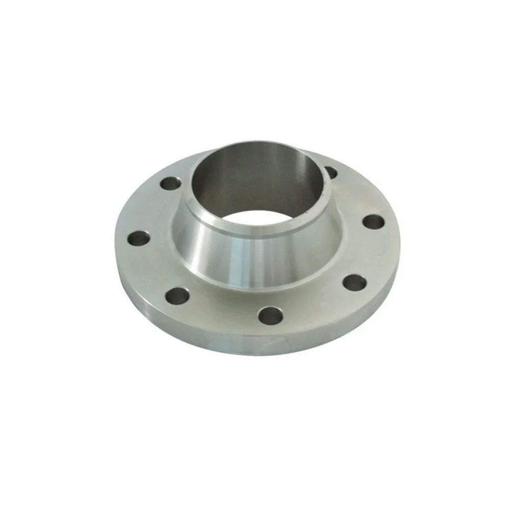 Ss Flanges