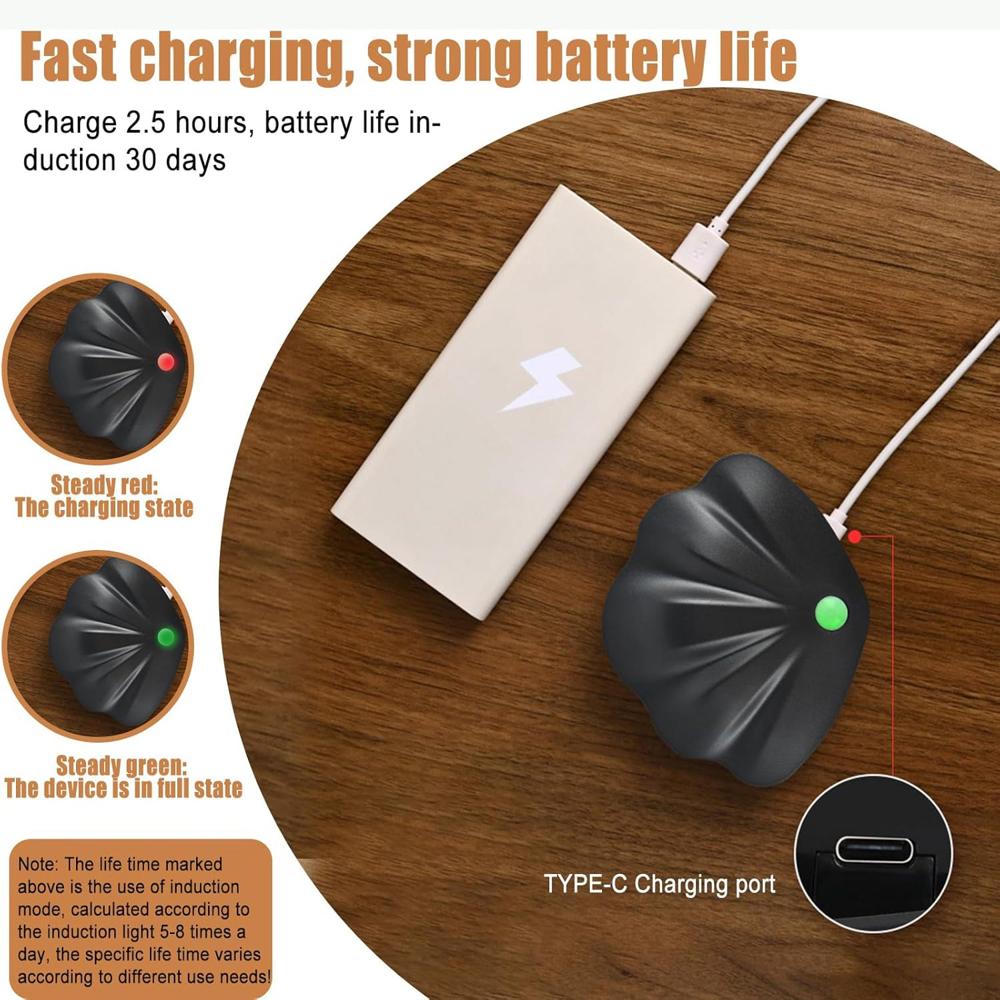 Shell-shaped Motion Sensor Night Light - Application: As Per Product Requirement