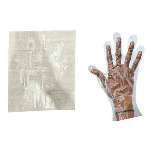 EVA Non Sterile Hand Gloves