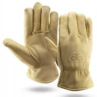 Keystone Thumb Leather Gloves