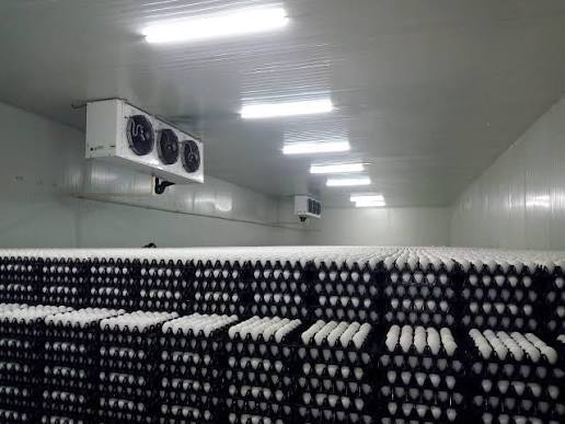 Egg Cold Storage Room - Application: Industrial