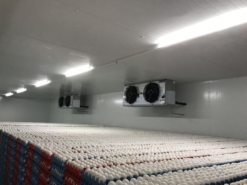 Egg Cold Storage Room - Application: Industrial