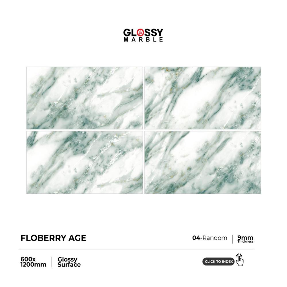 Elite Surface Glossy Vitrified Tile - Color: Multi