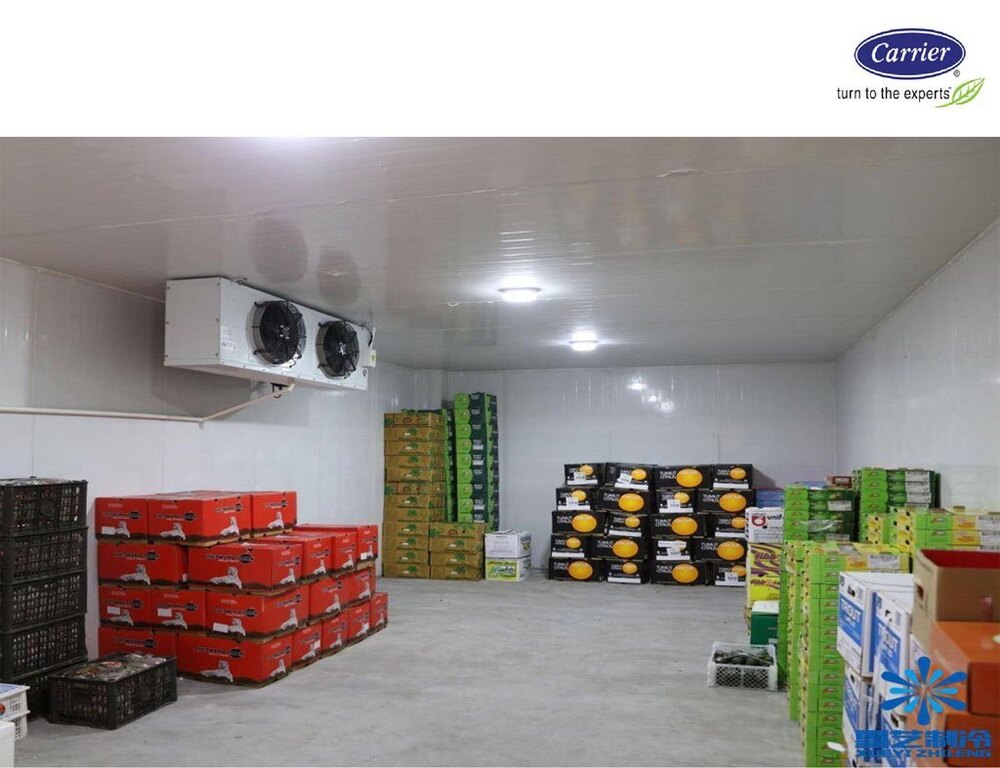 Vegetable Cold Room - 220 Volt, Single Door Design | Ideal For Fresh Produce, Fruits, Vegetables & Dairy Products