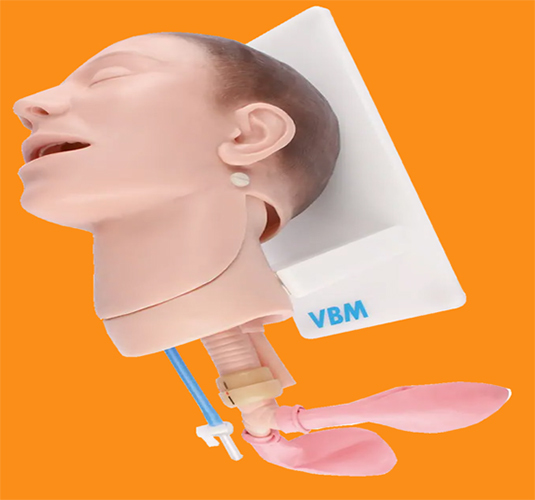 Airway Management Simulator