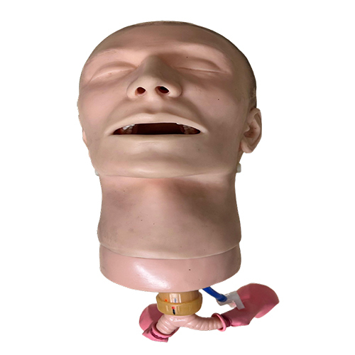 Airway Management Simulator