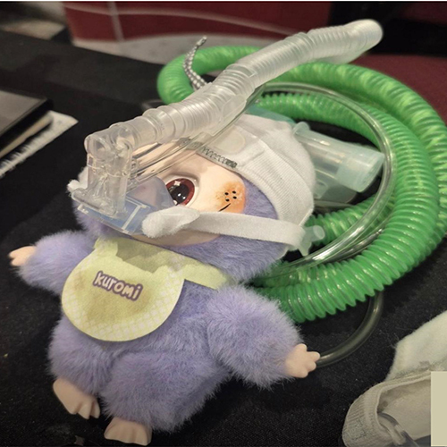 N Flow Neonatal Circuit