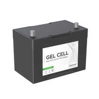 Ev512rg-050-sae Gel Cell Traction Batteries
