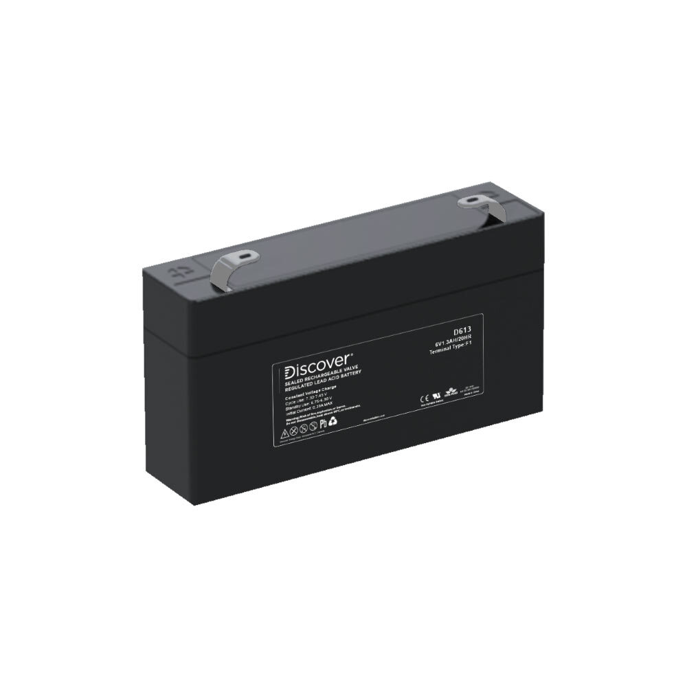 D613 AGM Float Standby Battery