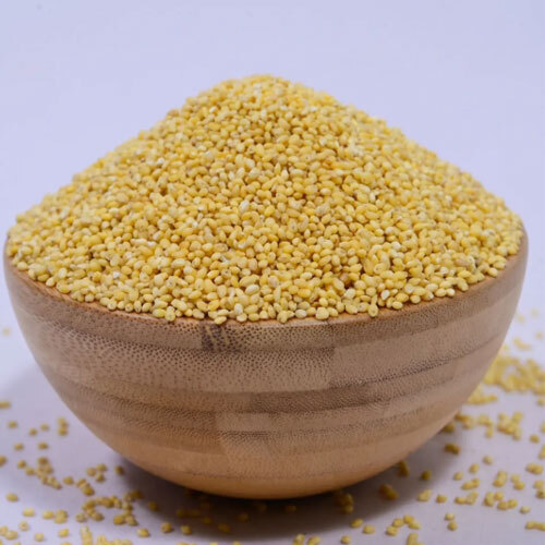 Foxtail Millet - High-Protein Siridhanya Millet (Navane) (500g)