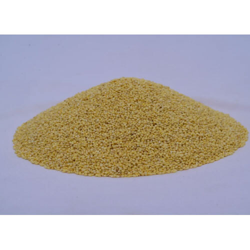 Foxtail Millet - High-Protein Siridhanya Millet (Navane) (500g)