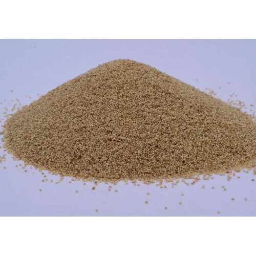 Browntop Millet - Rare Siridhanya Millet (Korale) (500g)