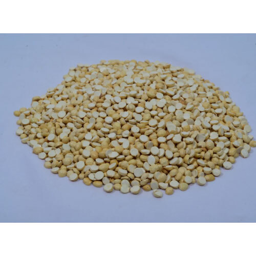 Roasted Gram (Putani-Hurigadale) - High-Protein Snack & Chutney Dal (100g)