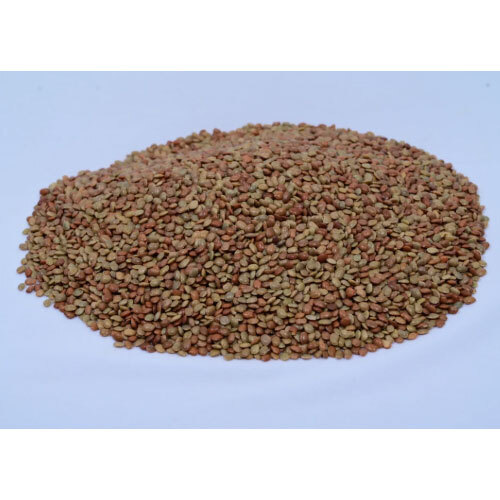 Horse Gram (Hurali-Kulthi) - High-Protein Heritage Pulse (250g)