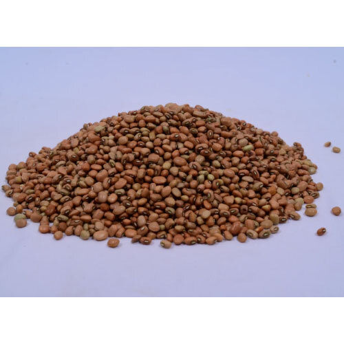 Red Cowpea (Alasande-Lobia) - Low-GI High-Fibre Pulse (250g)