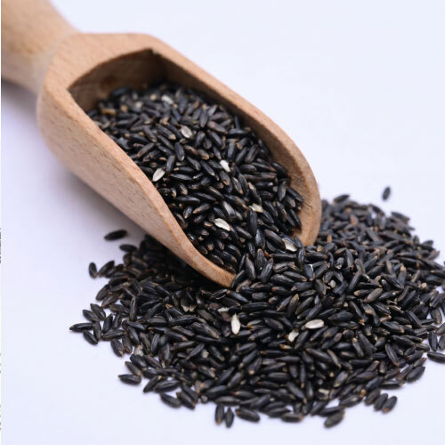 Niger Seeds (Huchchellu) - Traditional Karnataka Chutney Oilseed (100g)