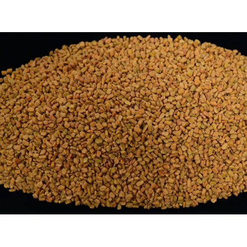Methi (Fenugreek Seeds) - Chemical-Free Aromatic Seeds (100g)